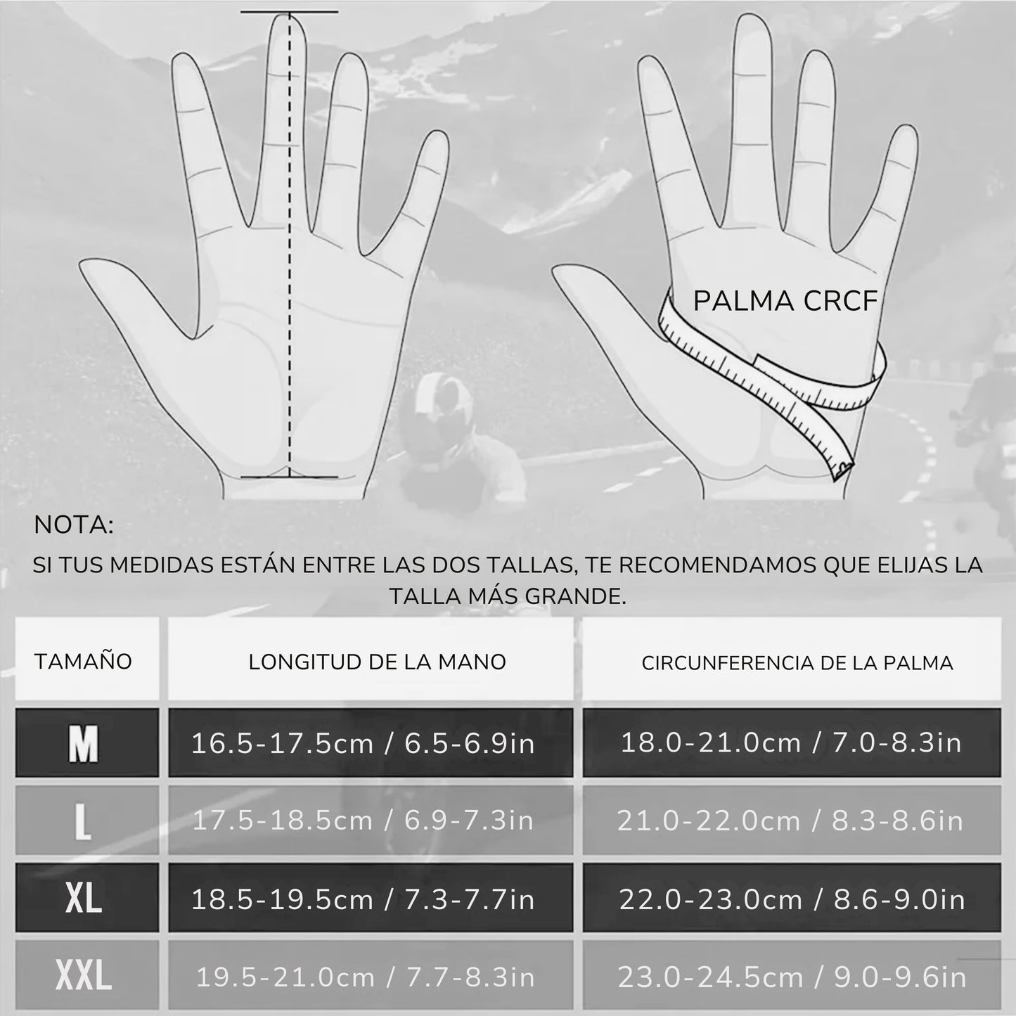 MotorsGlove Plus Motors Motorcycle Protective Gloves