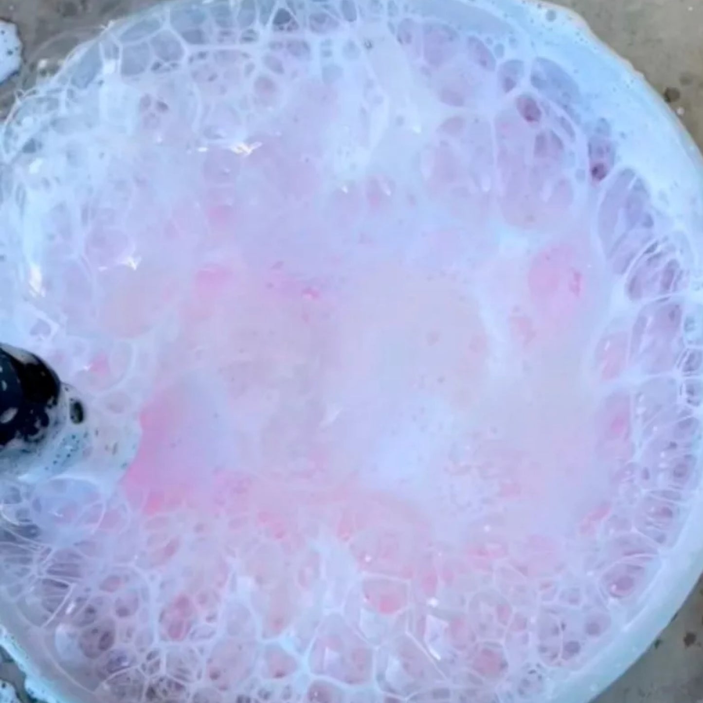 High Foaming Body Shampoo with Carnauba Wax